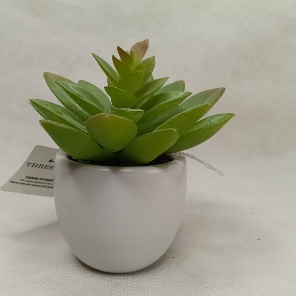 3.5 '' Mini Tabletop Succulent Artificial Plant - Threshold, new - Picture 6 of 8